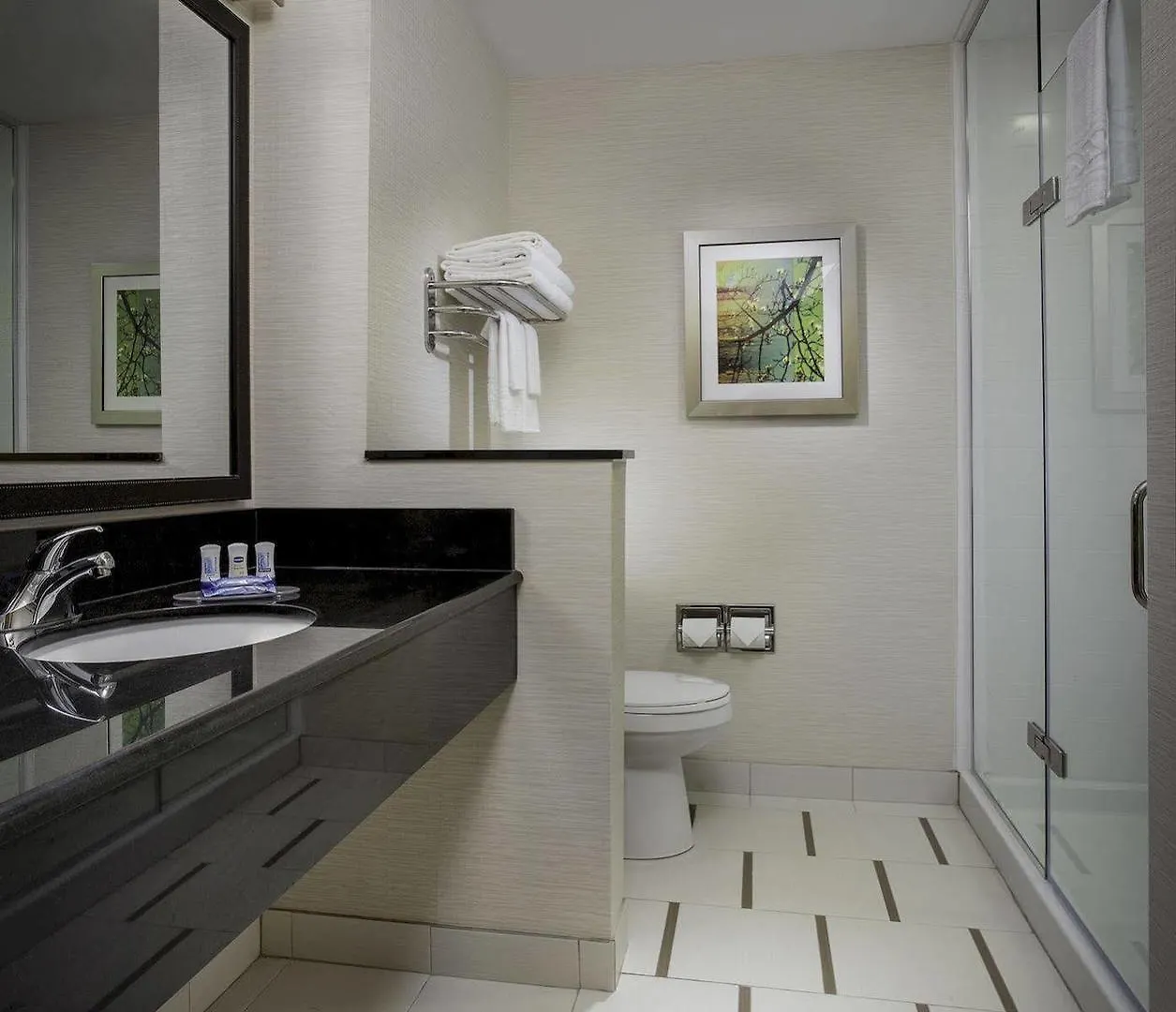 *** Hotel Fairfield Inn & Suites By Marriott Calgary Downtown Canadá